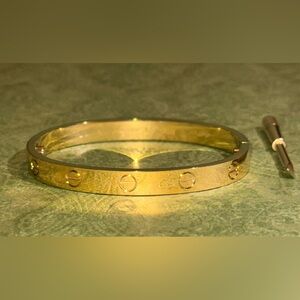 Bracelet with screwdriver